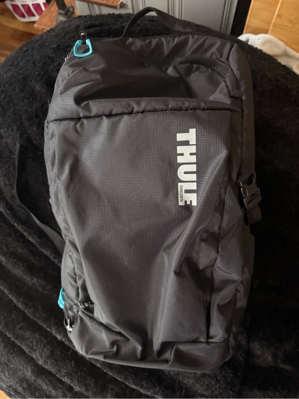 Thule Black Camera Backpack with Teal Accents